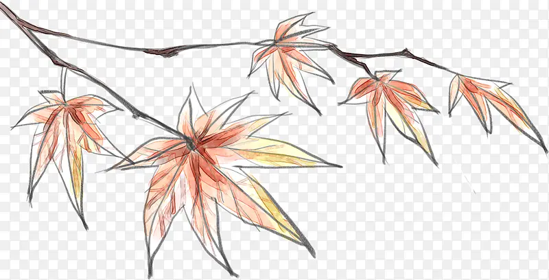 �ֻ�֦ͷ��Ҷ-������