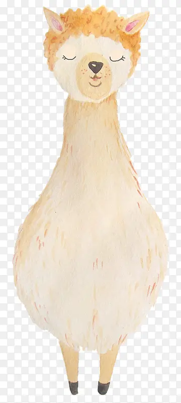 ��ͨ�ɰ�С����װ�ζ���ͷ��-������