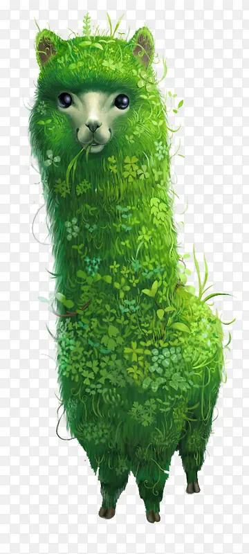 ��ɫ������-������