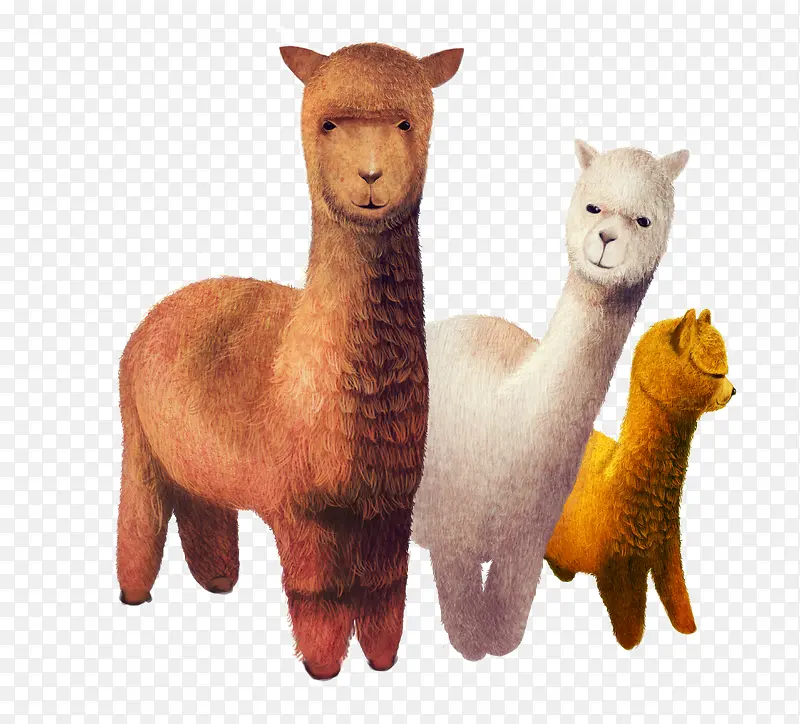 ��ͨ�ֻ������-������