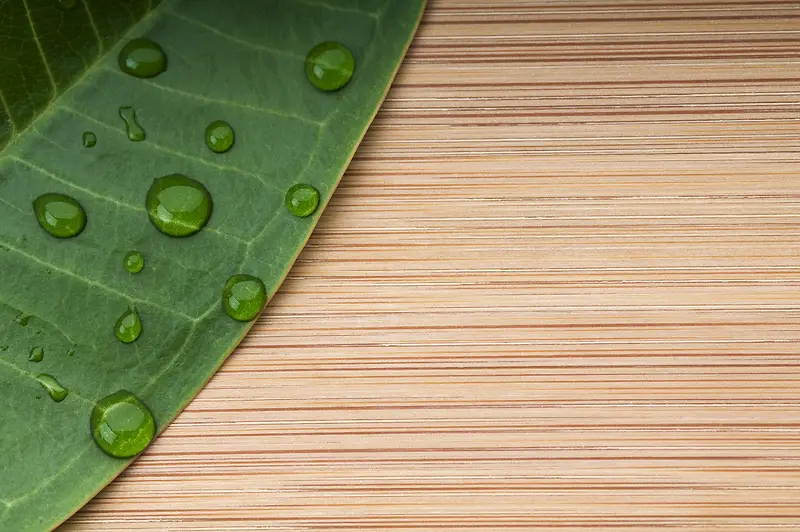 ��Ҷ��ľ�Ʊ���-������