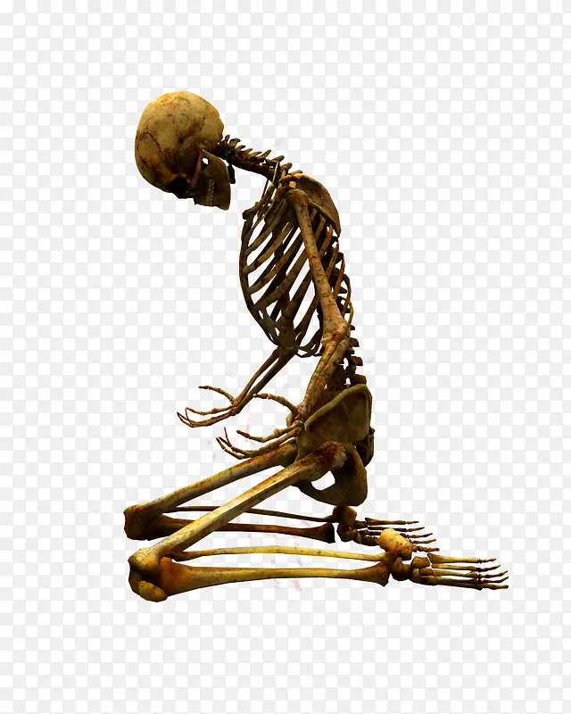 ����-������