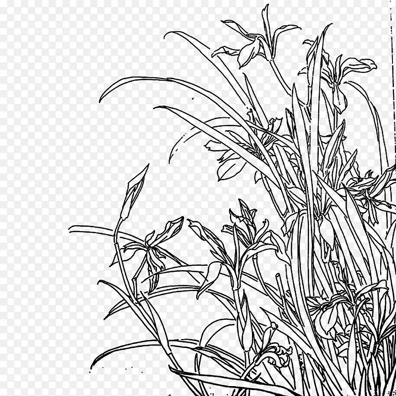 ����ֻ��-������