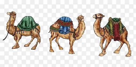 ��ͨ����-������