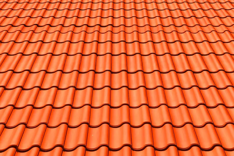 �����߱���-������