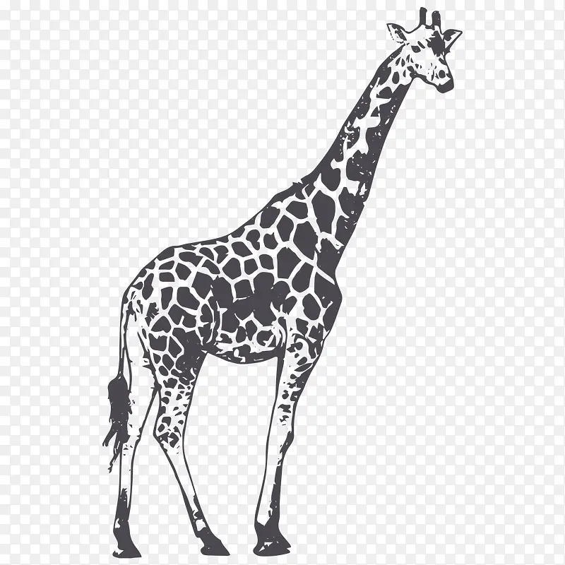 ��ɫ�ֻ泤��¹����-������