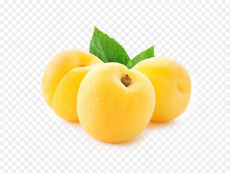 ����ˮ�����һ���png-������