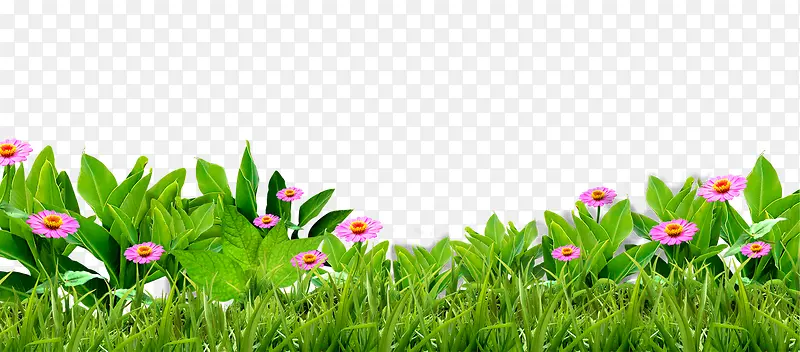 ����-������