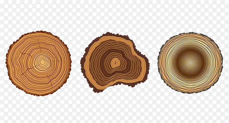 ��ľ����-������