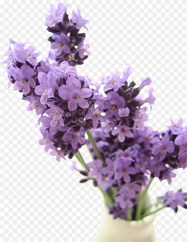 ޹�²ݻ���-������