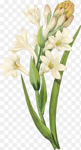 ����ˮ�ʺϳ�ˮ�ɻ�-������