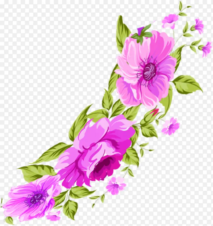 ���⻨����Ϧר��-������