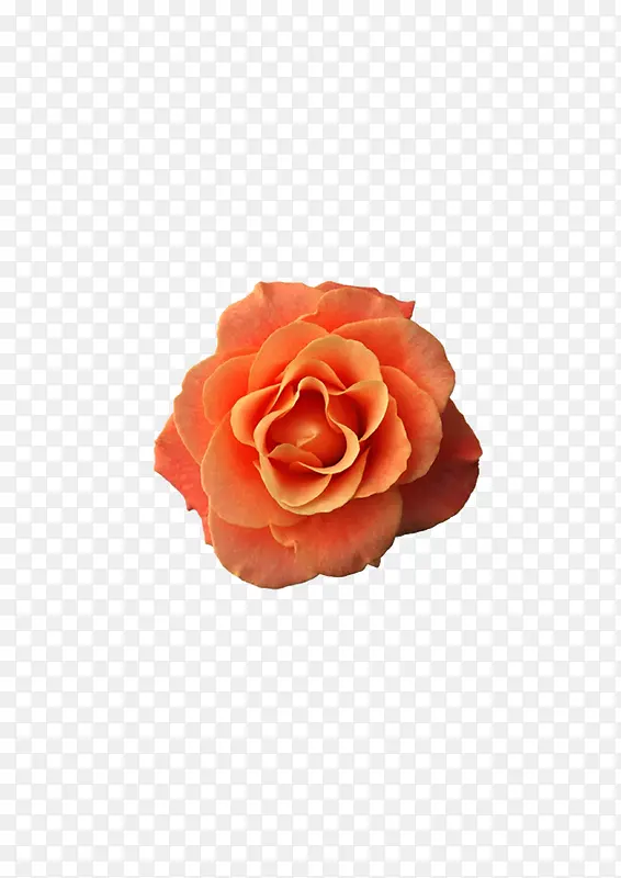 õ��-������