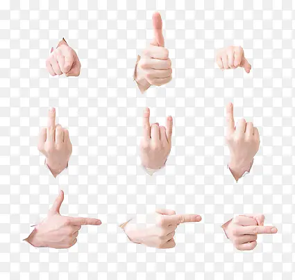 ��ָ-������