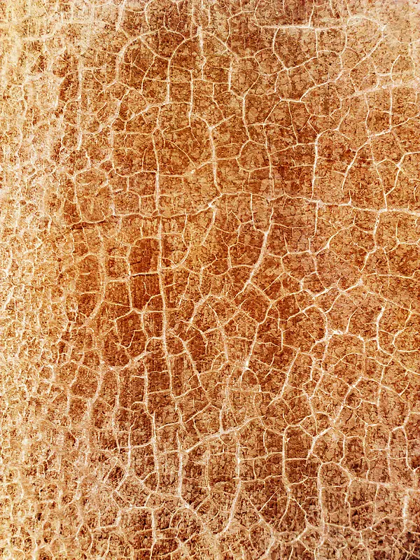 ����Ƥ����������-������