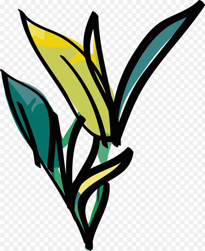 ���ˮ�ʲ�Ҷ��-������