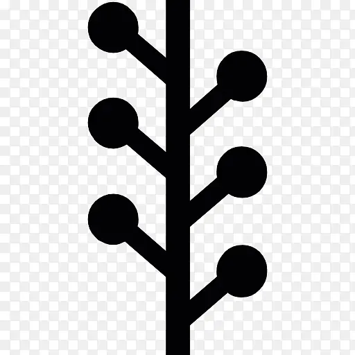 ��ͼ����֯��ͼ��-������