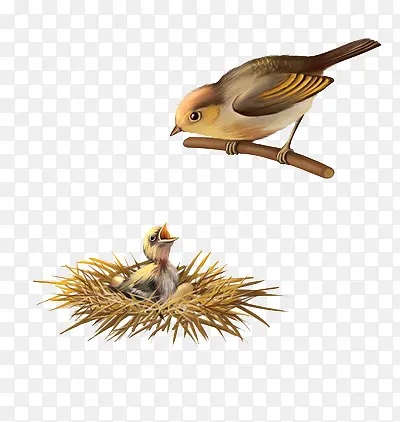 ���ಸ��-������