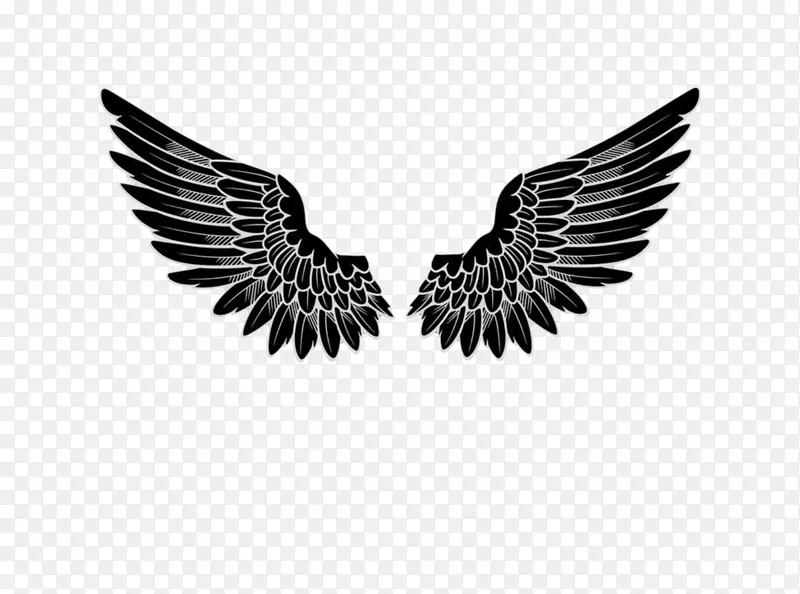 ��־��ʹ-���-������