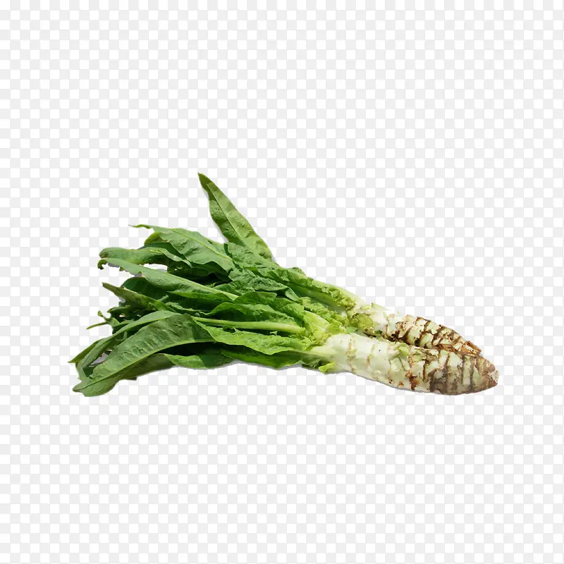 ݫ��-������