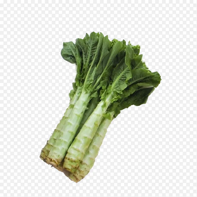 ݫ��-������