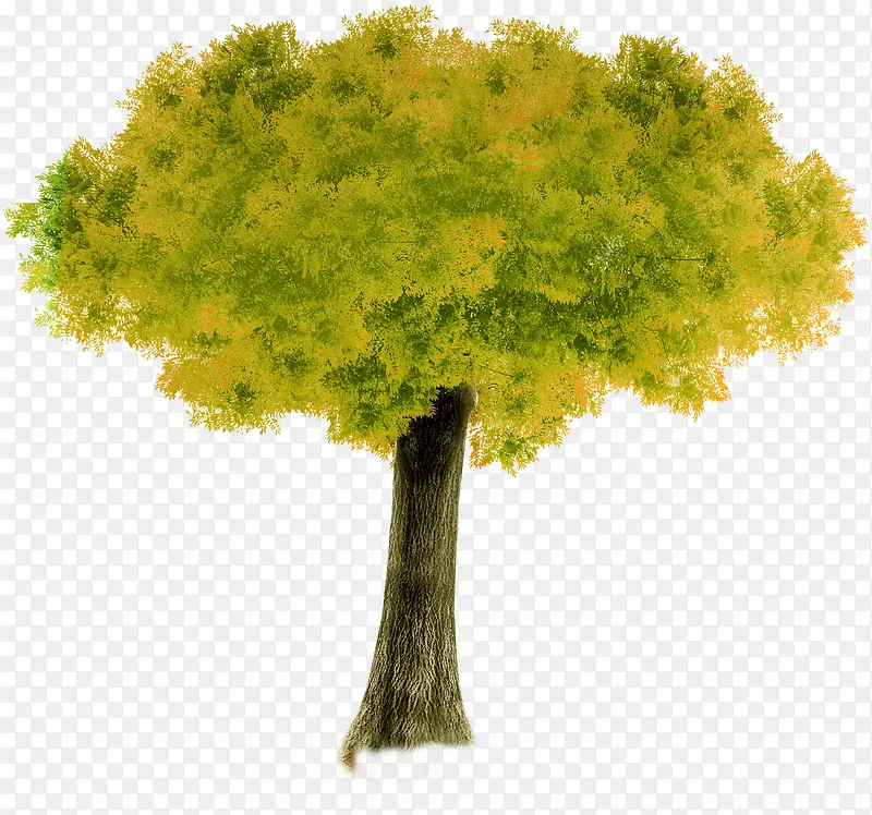 �������ղ�ԭ�羰-������