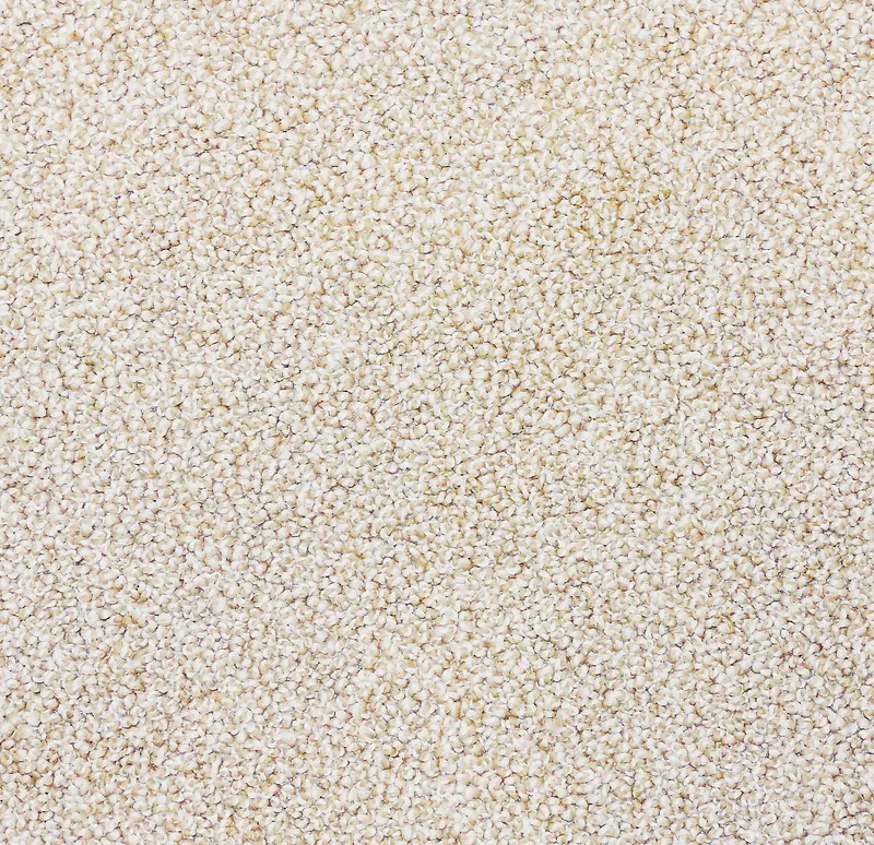 ��̺ë̺����-������