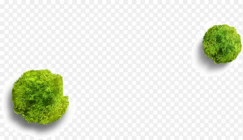 Բ����������-������