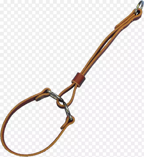 ��װ���Ρ�Ƥ��ʱ��.��Ȯ-������