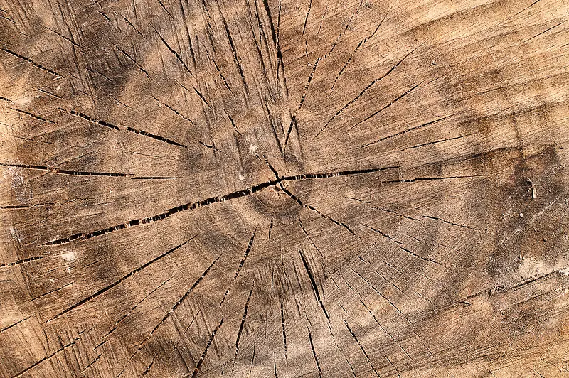 ľ׮���ֱ���-������