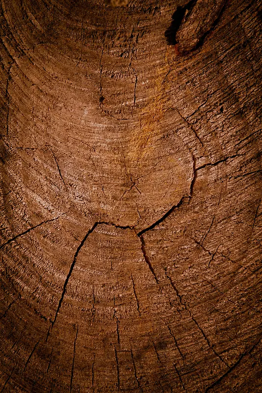 ľ�����ֱ���-������