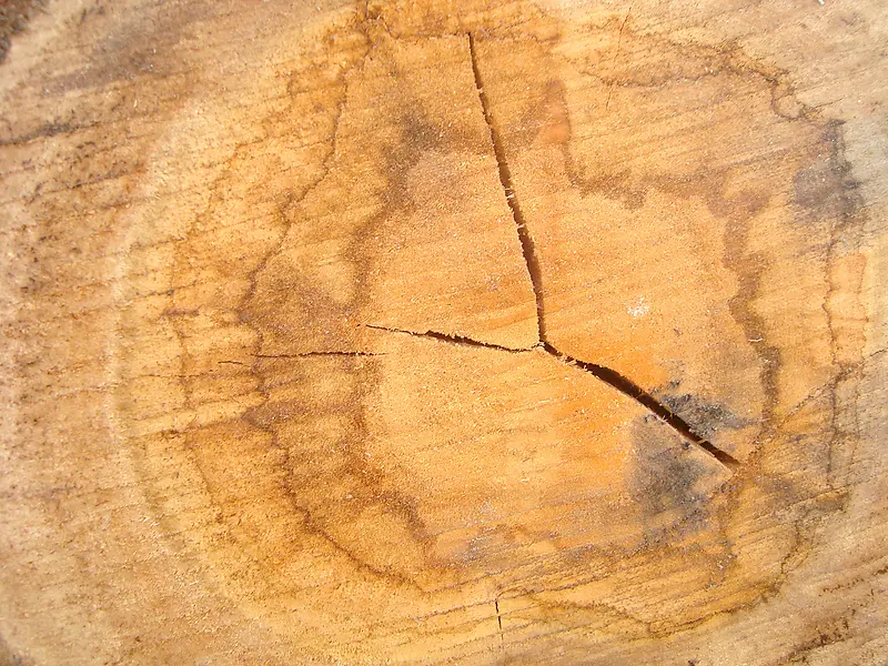 ��ɫ���ֱ����ز�-������