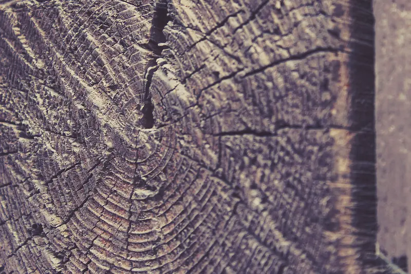 ľͷ���ֱ���-������