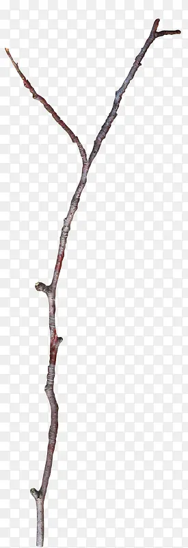 ��֦-������