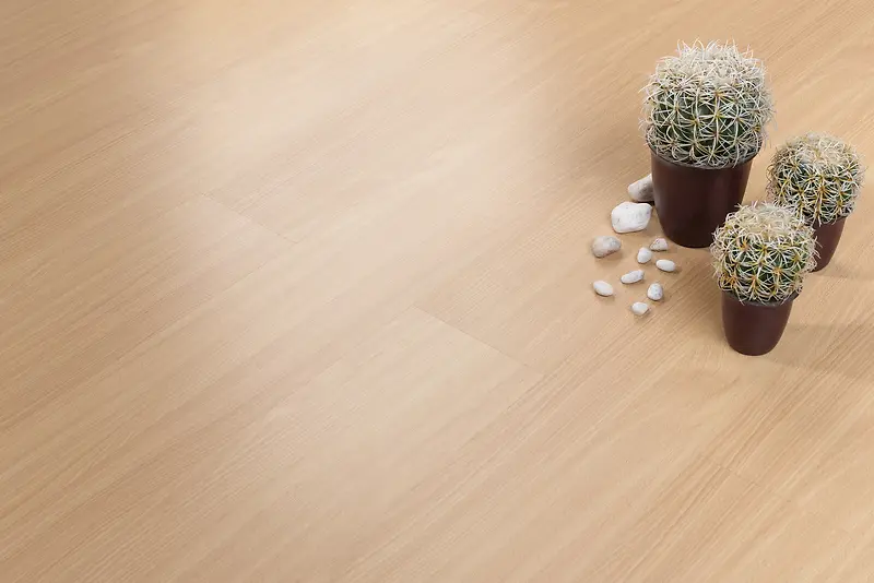 ľ�ذ��ϵ�������-������