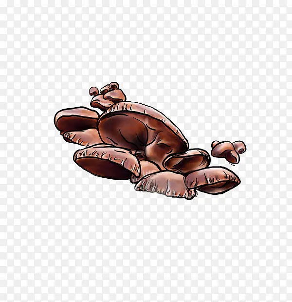 �ֻ�ľ��-������