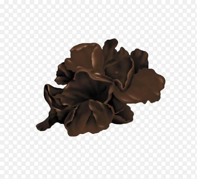 �ֻ�ľ��-������