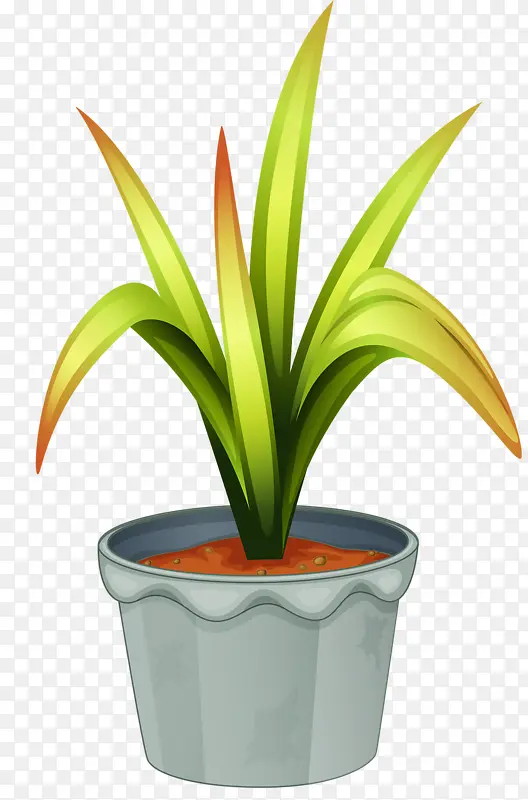 һ���̲�-������