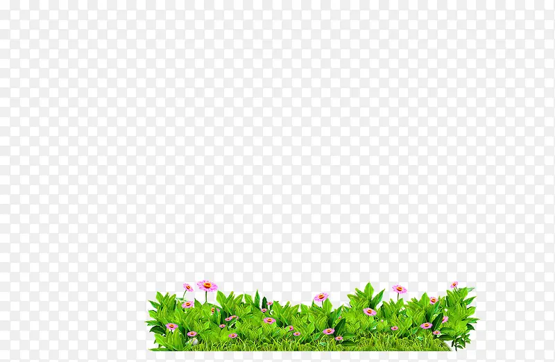 һ�زݻ���-������