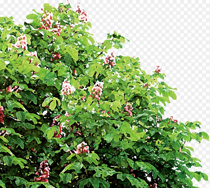 ����������-������