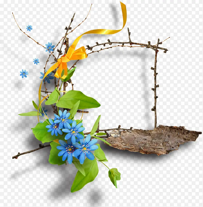 ����ľ����-������