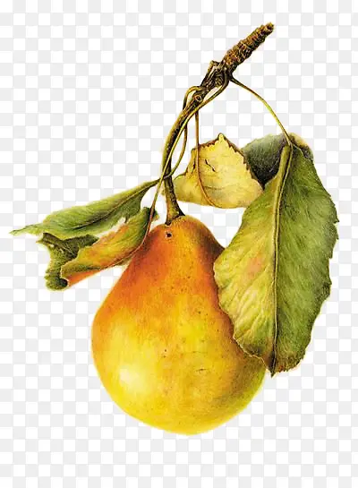 �ֻ�Ѽ��-������