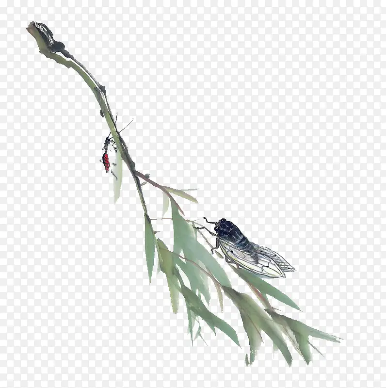 ������-������