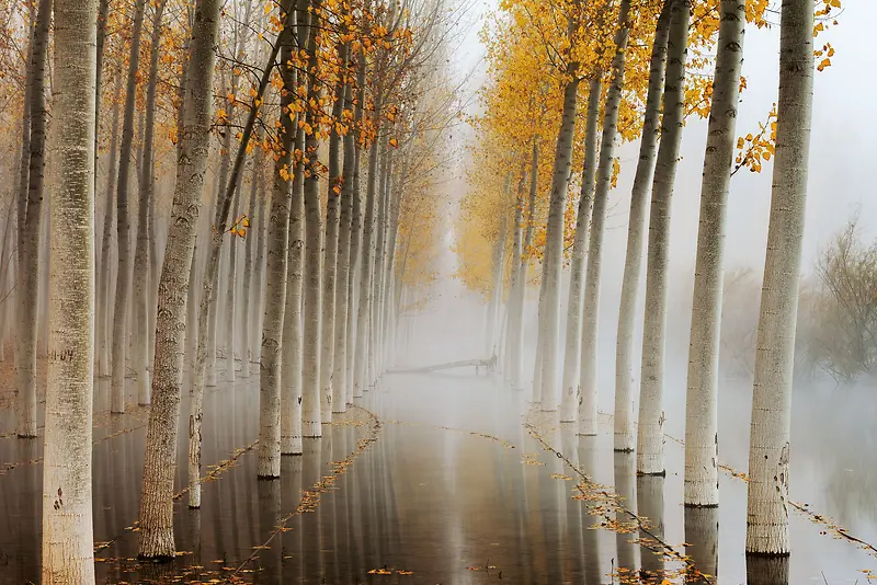 ����ͼƬ������������Ӱ-������