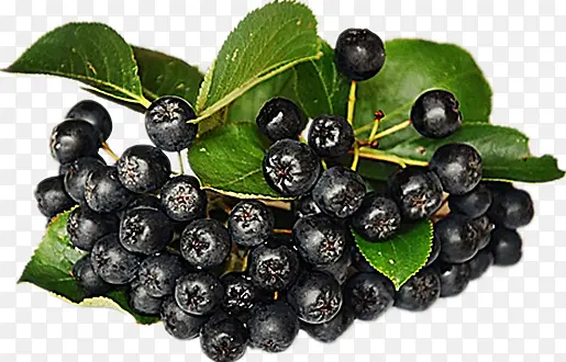 Ұ������-������