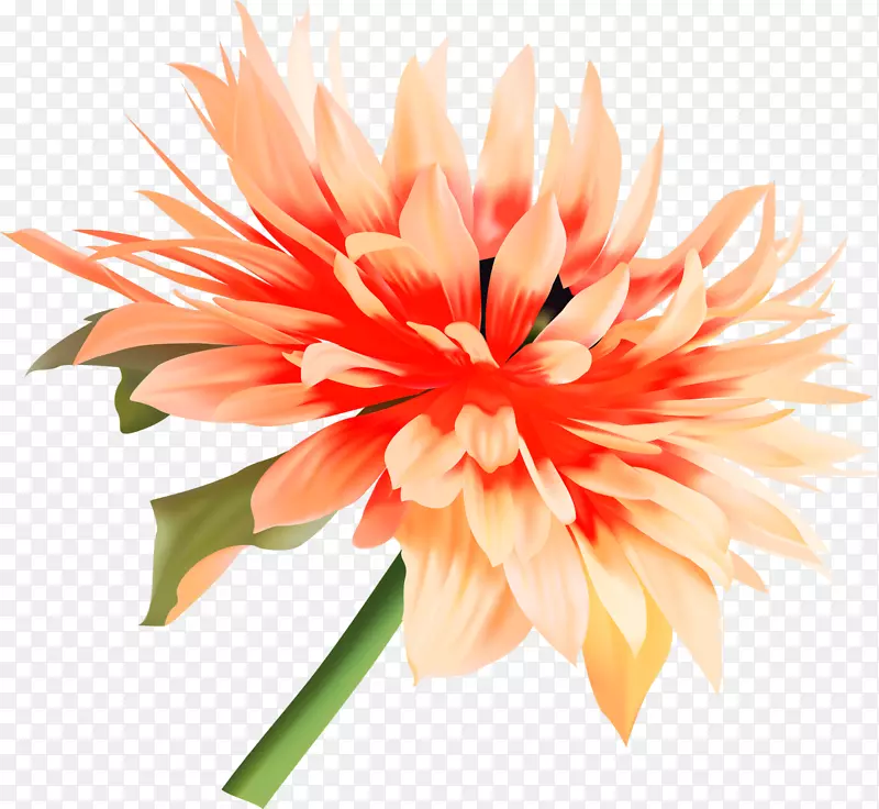 ������������-������