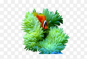 ��-������