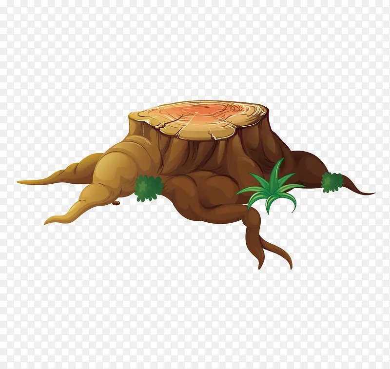 ſ���ŵ���������С��-������