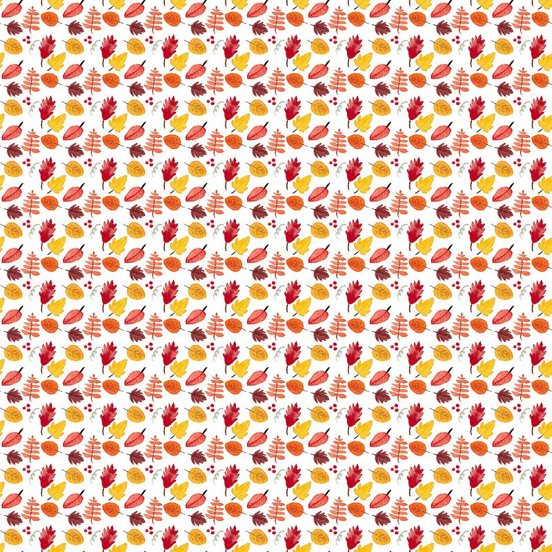 ˮ����Ҷ����-������