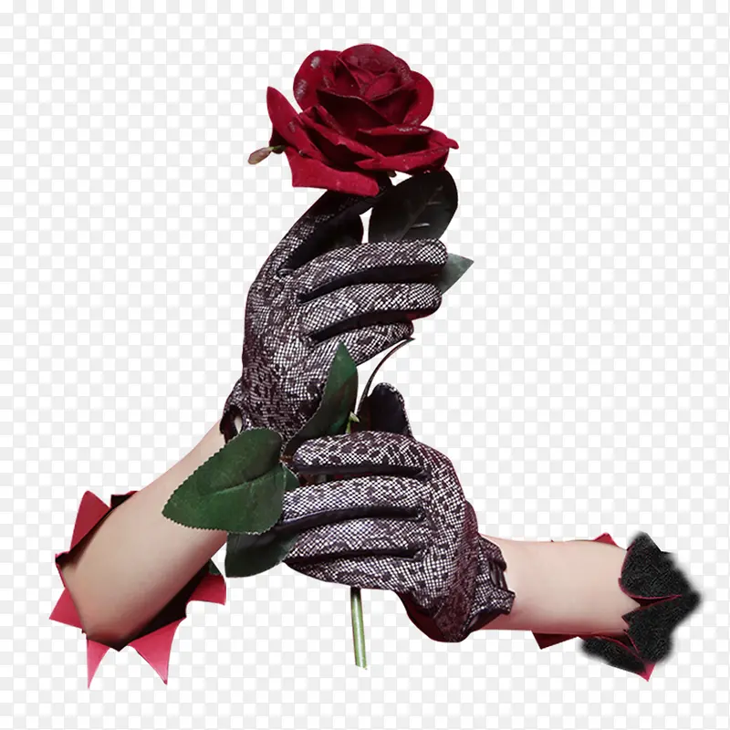 ����õ��-������